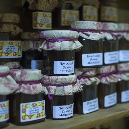 Ta' Bertu Host Family 2* Ħal Far