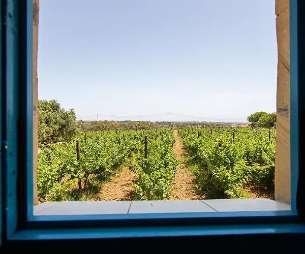 Ta' Bertu Host Family B&B Ħal Far