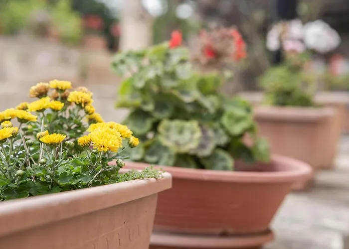 Ta' Bertu Host Family B&B