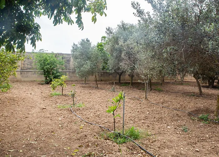 Ta' Bertu Host Family Ħal Far