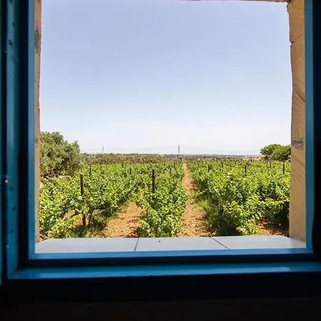 Ta' Bertu Host Family Panzió Ħal Far