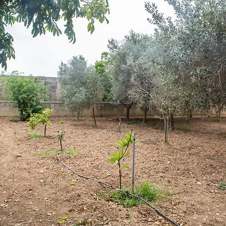 Ta' Bertu Host Family Ħal Far