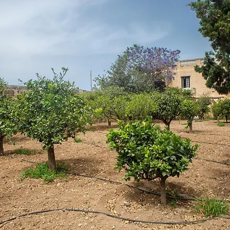 Ta' Bertu Host Family לינה וארוחת בוקר Ħal Far