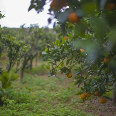 타 버투 호스트 패밀리 베드&브렉퍼스트 B&B 2*