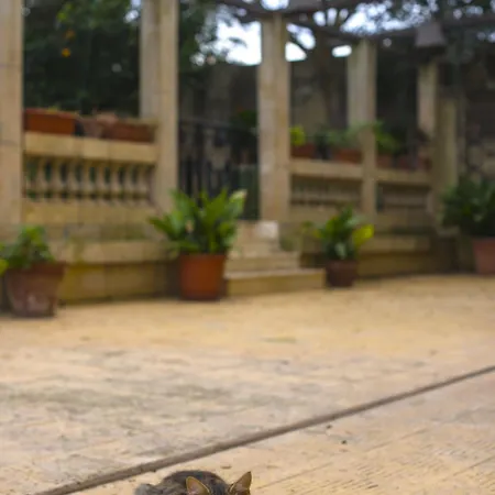 타 버투 호스트 패밀리 베드&브렉퍼스트 B&B Ħal Far