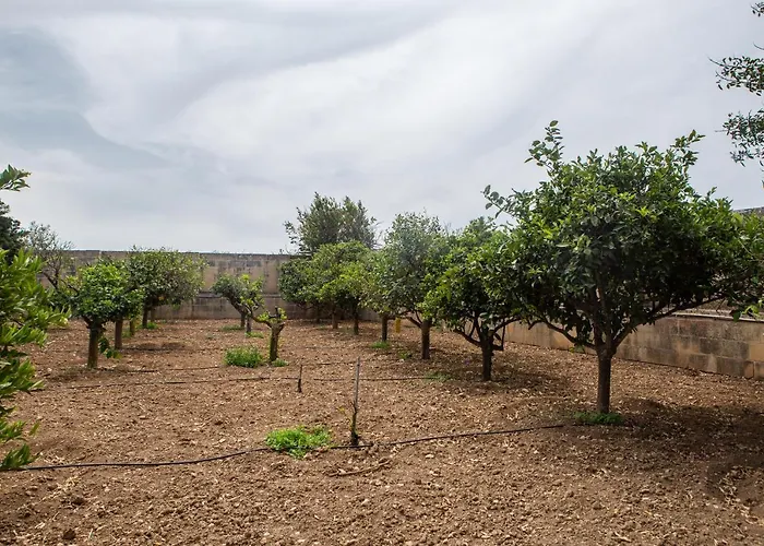 Ta' Bertu Host Family