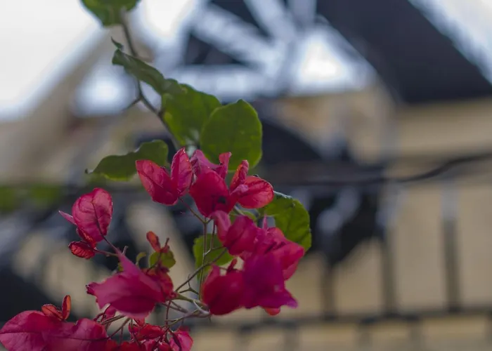 Ta' Bertu Host Family