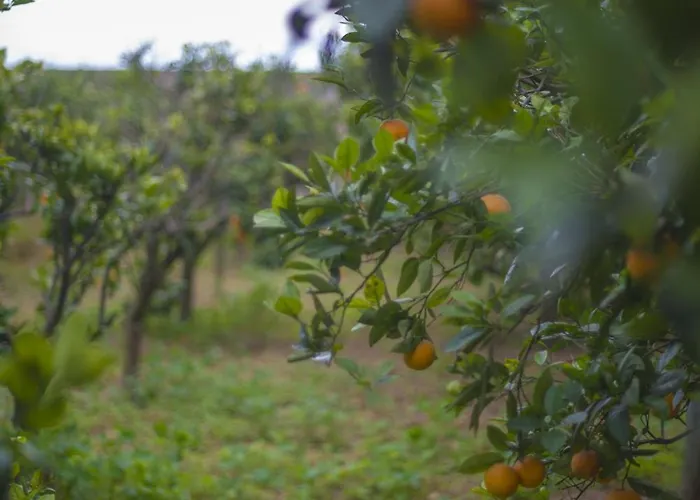 Ta' Bertu Host Family Bed and Breakfast 2*